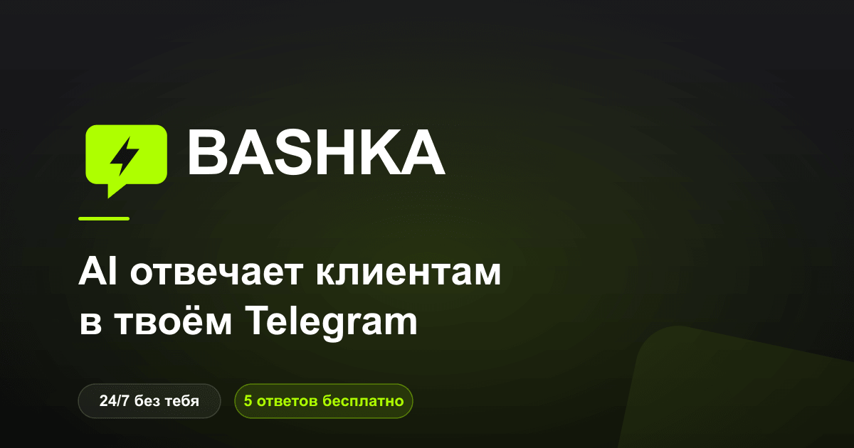 Bashka product interface — dashboard and chat preview